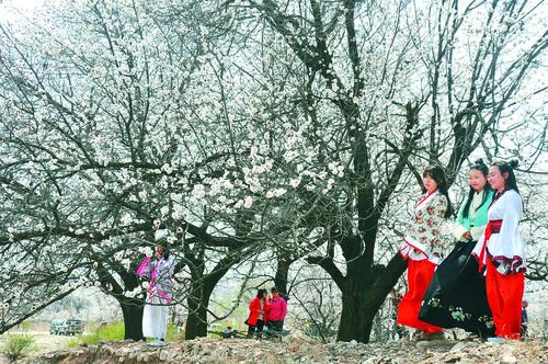 球速体育实时数据面板
